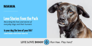 Dog love stories promotion with "Mama," featuring a curious black dog.
